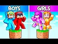 One BOYS Block vs One GIRLS Block in Minecraft