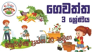  gewaththa grade 3 3 gewatta grade 3 3 wasara parisaraya