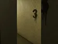 INSIDE THE BACKROOMS - ELEVATOR CODE