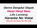 Hanyi Hanyi Sesu - Lilis Lamiang Karaoke No Vokal