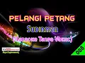 Download Lagu Pelangi Petang by Sudirman | Karaoke Tanpa Vokal