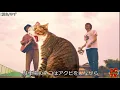 【夏色/ゆず(natsuiro/YUZU】イラストでPVつくってみた/神曲/弾き語り/MV/＠だいちゃんぐ with しょうちゃんぐ