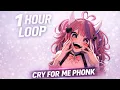 Lagu CRY FOR ME (1 HOUR + BASS BOOSTED) [PHONK] - IRONMOUSE