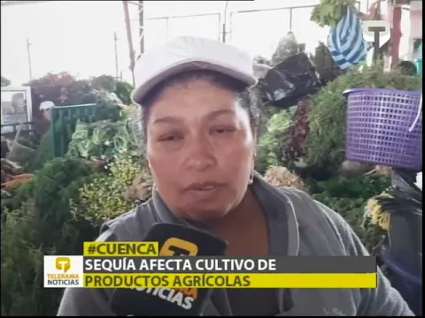 Sequía afecta cultivos de productos agrícolas