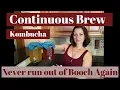 Continuous Brew Kombucha