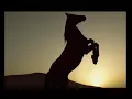 Abu Dhabi