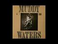 Muddy Waters -  I'm A King Bee