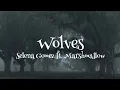 Wolves - Selena Gomez ft. Marshmallow 《speed up》