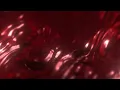 clvr blood stashkit Extra Loops