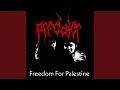 Freedom For Palestine