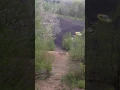 Quad wreck