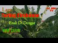 Download Lagu lagu tarling cirebonan//menikmati semilirnya angin /enak di dengar Mimi Carini