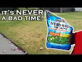 It s not too late to prevent weeds Spectracide Weed Stop Pre-Emergent can help if you use it right