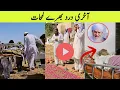 peer zulfiqar ahmad naqshbandi death news | peer zulfiqar ahmad naqshbandi news |zulfiqar naqshbandi