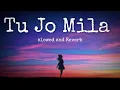 Download Lagu Tu Jo Mila [Slowed+Reverb] - K.K. Pritam | Bajrangi Bhaijaan | Music lovers | APX Music zone