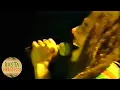 Download Lagu Bob Marley - Live In Zimbabwe (Rare Concert)
