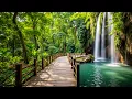 Download Lagu Beautiful Relaxing Music 🌿 Stop Overthinking, sound for sleeping and deep relaxation