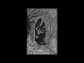 Download Lagu Nocturnal Vomit Prophecy Of Desolation