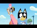 Bluey en vrienden hoogtepunten 💙🍿 | Bluey - Officieel Nederlands kanaal