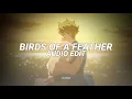Download Lagu birds of a feather - billie eilish [edit audio]