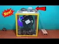 Download Lagu Cara menjebak tikus terbaik pada tahun 2020/10 Ide perangkap tikus dari tabung plastik terbaik