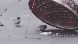 هناك من يضحي من اجلك وهناك من يضحي بك 