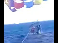 Download Lagu Graphic: Giant Shark Attacks Man Parasailing in Aqaba, Jordan