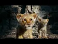 ALEX & RUS – Дикая львица ~ The Lion King [Saving Simba Scene]