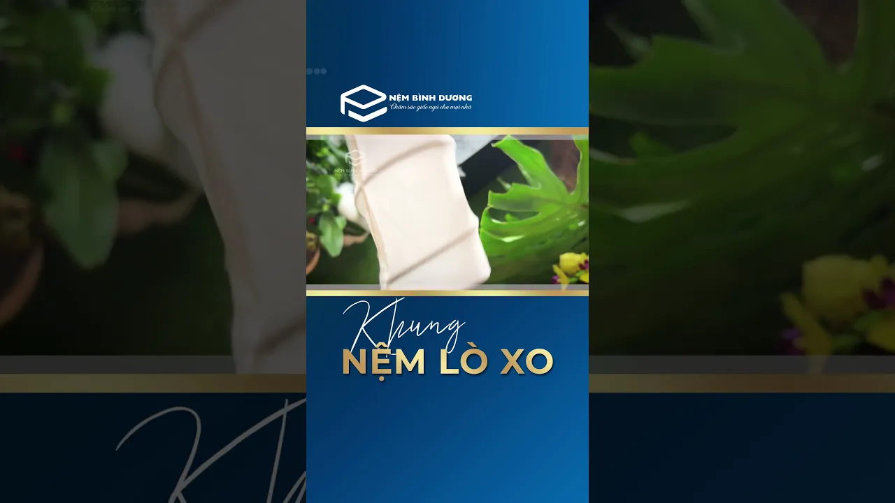 Nệm Bình Dương