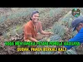 Lagu AWALNYA SAMPE MENANGIS PETANI PEMULA BLI NYOMAN SEKARANG SUDAH SENYUM BAHAGIA 