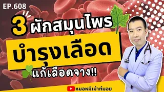 ผักสมุนไพร 3 ชนิดที่ช่วยบำรุงเลือดแก้เลือดจางมีอะไรบ้าง?