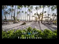 Voice - Cheers To Life [Tropical House Remix] 2016