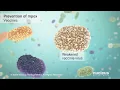 Monkeypox Mpox Treatment and Prevention