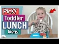 Picky Toddler Lunch Ideas Bunches Of Lunches