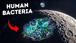 NASA Found Evidence Earth Life Could Survive on the Moon