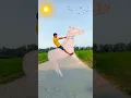 Download Lagu Horse Video graphy Tricks #photography #shorts #youtubeshorts #shortvideo #photographytips#trending