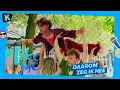 Lagu #LikeMe | Daarom zeg ik nee [officiële clip]