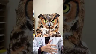  ทำไมการนอนตามเวลาที่มีคนบอกว่าฮอร์โมนหลั่งช่วง 22:00 ถึง 2:00 น จึงไม่ถูกต้องสำหรับทุกคน 