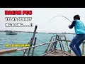 Download Lagu Bagan terakhir !! ternyata masih ada ikan enak nya !! Bagan popay P06  tanjung kait 