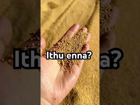 இது என்ன? #tamil #farm #nilaani #china
