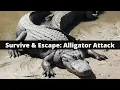 Survive Escape an Alligator Attack