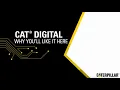 Cat Digital Job Description Series Do Work That Matters