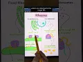 Ribosomes Free vs Fixed TEAS and MCAT Review