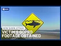 Victims Film Dolphins On GoPro Moments Before Deadly Shark Attack At Crowdy Bay NSW | 10 News