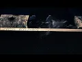 Lemâitre - Iron Pyrite HQ
