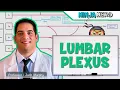 Neurology Lumbar Plexus