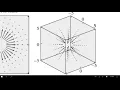MVC - Vector Fields