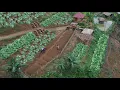 Download Lagu Building an Off Grid Life | The Beginning of a Beautiful Garden,Build a Farm and Dream Life