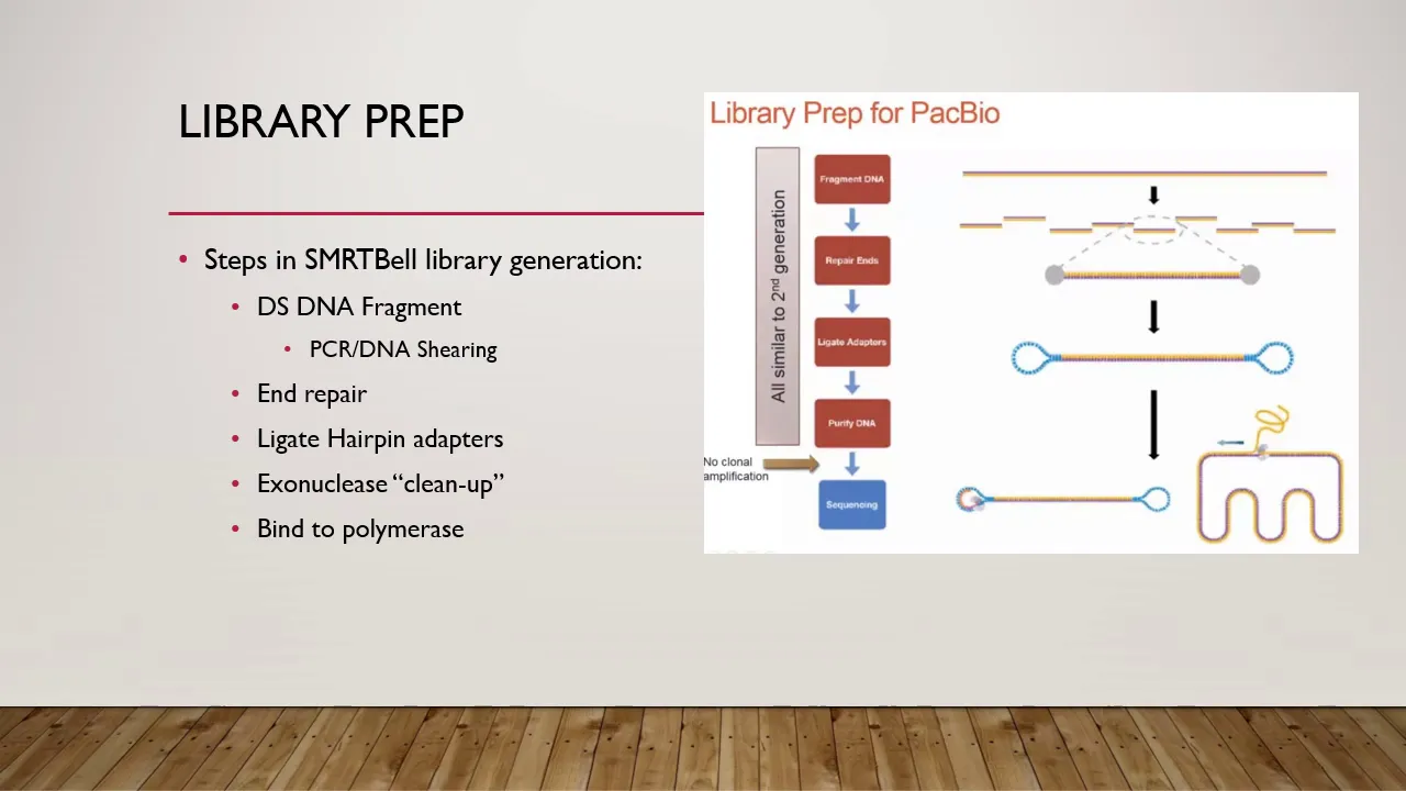 PacBio SMRT Sequencing: Overview