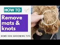 How To Remove Knots And Mats From Your Dog s Coat At Home
